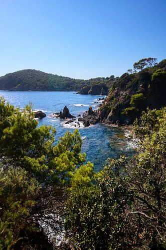 Küstenpracht mit mächtigen Bergen und ruhigen Gewässern