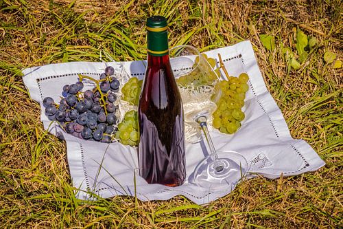 Cueillette du raisin Belgique