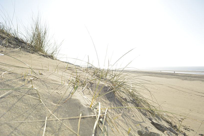 Zand landschap by Sigune italiaanser