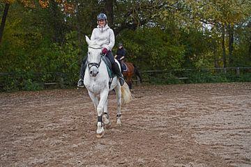 Training met het witte paard op een rijbak in de herfst