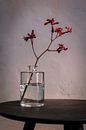 Modernes Stilleben mit roter Blüte in Glasflasche von Affect Fotografie Miniaturansicht