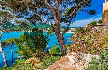 Prachtig uitzicht op de baai van Canyamel, kustlijn op Mallorca van Alex Winter