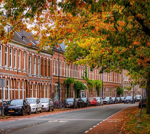 Breda Tramsingel in de Herfst