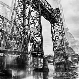 tessapronkfotografie Profile picture