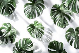 Monstera by Poster Art Shop