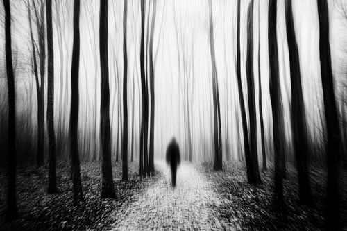 Unscharfe Einsamkeit im Wald Schwarz und Weiß