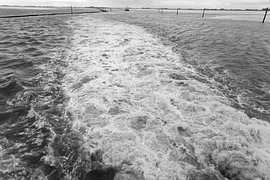 Bilder von Bensersiel und der Nordseeinsel Langeoog. von Bianca Meyering Fotos - BMF