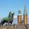 Löwenstatue vor der Kaiserpfalz in Goslar - im Hintergrund die Türme der Marktkirche von t.ART