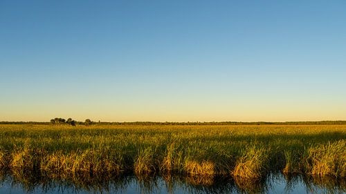 USA, Florida, Eindeloos wijds zaaggraslandschap van de Everglades