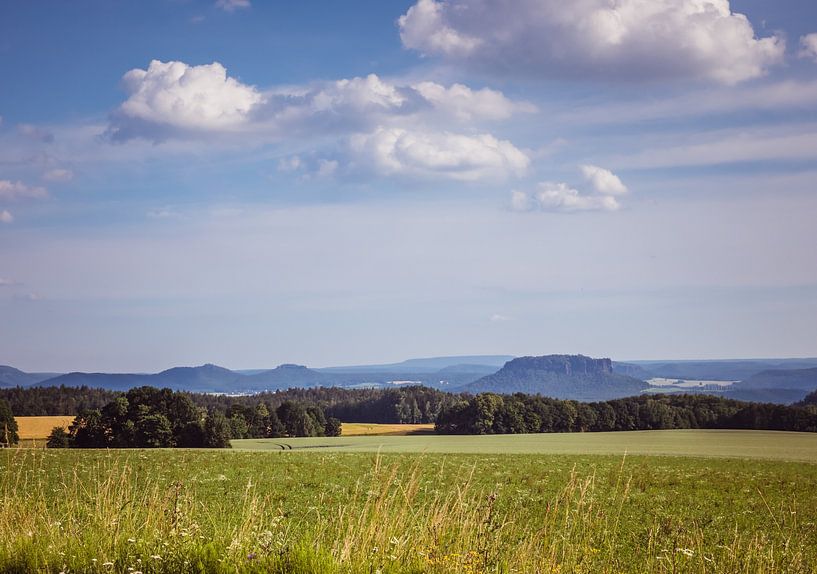 Panoramablick über die Sächsische Schweiz von Animaflora PicsStock