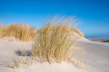 Strand auf der Insel Schiermonnikoog im Wattenmeer von Sjoerd van der Wal Fotografie