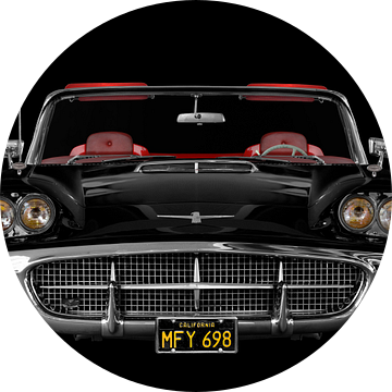 Ford Thunderbird 2e vierkante vogel