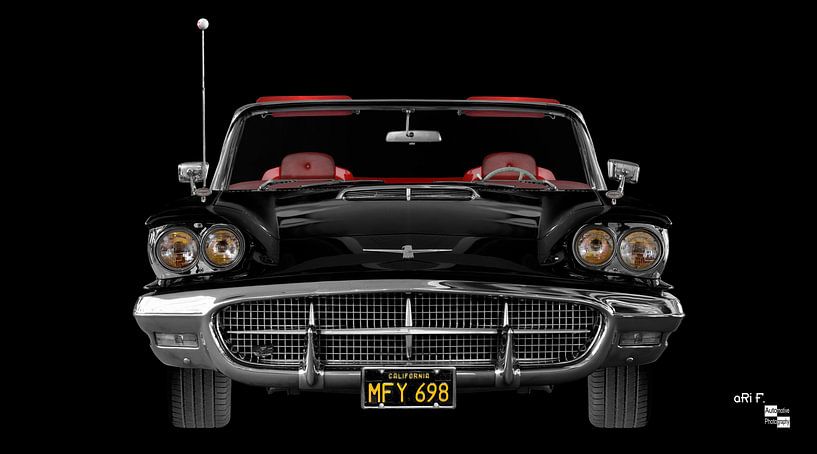 Ford Thunderbird 2rd Square Bird by aRi F. Huber