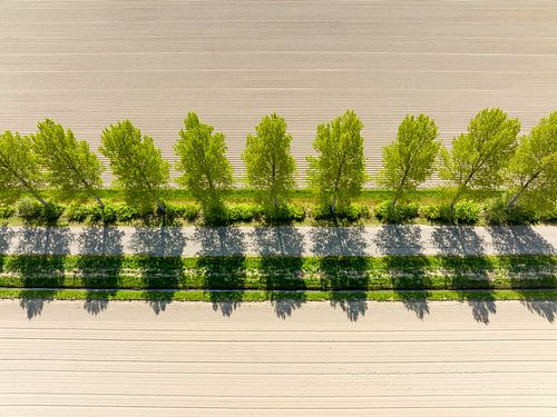 Weg in een landelijk gebied van bovenaf gezien