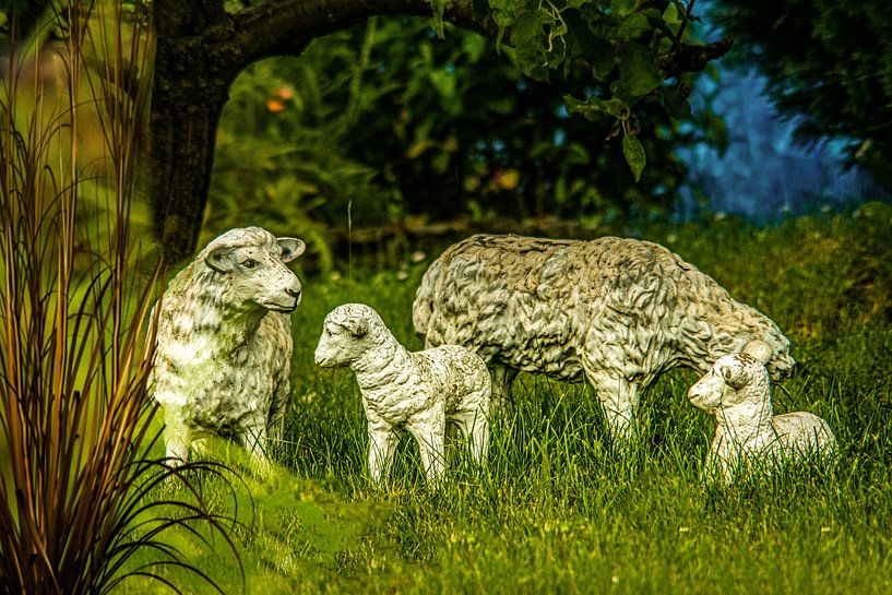 forest flowers field landscape Erzgebirge mushrooms by Johnny Flash