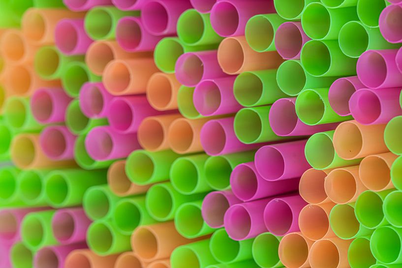 Straws by Francisco Dorsman