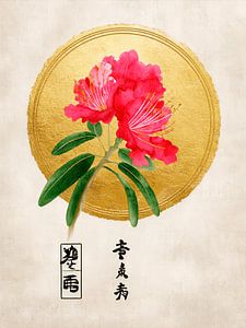 Japanische Azalee (Rhododendron) mit bedeutungsvollem Kanji