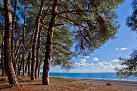 Tourismus im Kaukasus von Michael Semenov