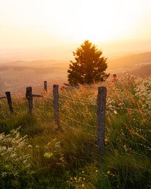 Rhön by Andre Michaelis