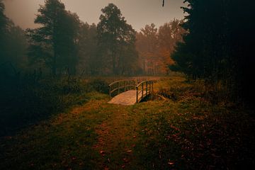 Park in autumn by Pixel4ormer