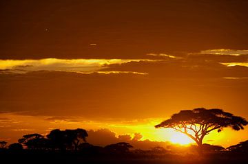 Zonsondergang in de bush van Amboseli NP., Kenia, Afrika van Louis en Astrid Drent Fotografie