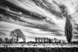 Winter landscape with tree and snow and cloud formation in black and white