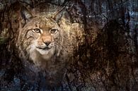 Lynx by Elles Rijsdijk thumbnail