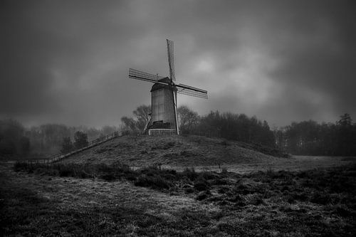 De Koutermolen in de mist