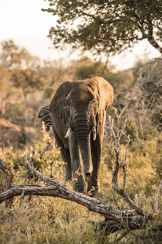 Bei näherer Betrachtung