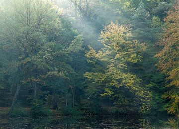 Herfstbomen aan de waterkant van André Post