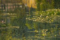Summer Idyll