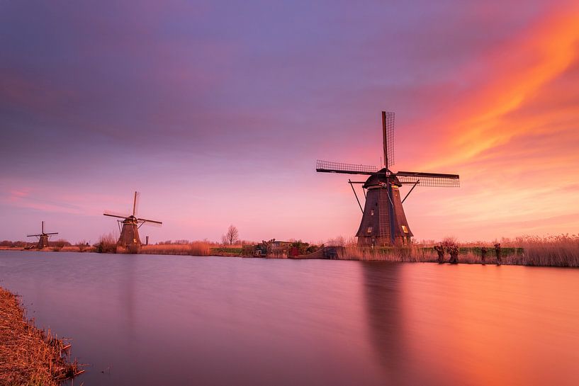 Welterbe Kinderdijk von Lisa Antoinette Photography