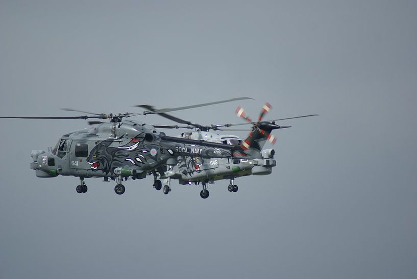 Wildcat dance von Victor de Reuver