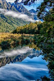 Reflections in nature in New Zealand