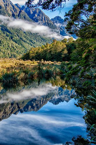 Reflecties in de natuur in Nieuw Zeeland