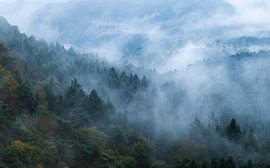 Autumnal magic in the Dahner Felsenland by Anselm Ziegler Photography