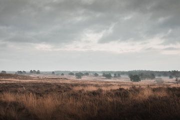 La dernière lumière du jour | La lande du Veluwe sur Nanda van der Eijk