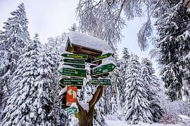 Langlaufrunde bei bestem Kaiserwetter im verschneiten Thüringer Wald bei Floh-Seligenthal - Thüringen - Deutschland von Oliver Hlavaty