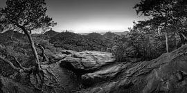 La forêt du Palatinat en noir et blanc sur Manfred Voss, Photographie Noir et Blanc