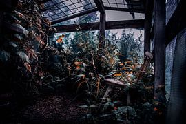 Accessibility by Maaike Andrews