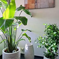 Photo de nos clients: Peinture abstraite par Peintures accrocheuses, sur ArtFrame