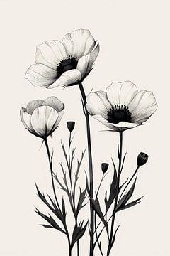 Black white spring flowers by haroulita