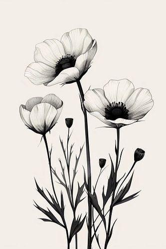 Fleurs printanières noires et blanches