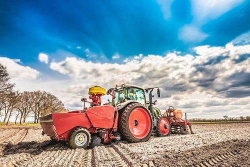 Tracktor beim Kartoffellegen
