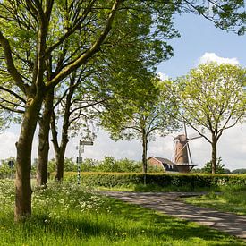 Die Mühle Rhein und Weert in Werkhoven von Marijke van Eijkeren