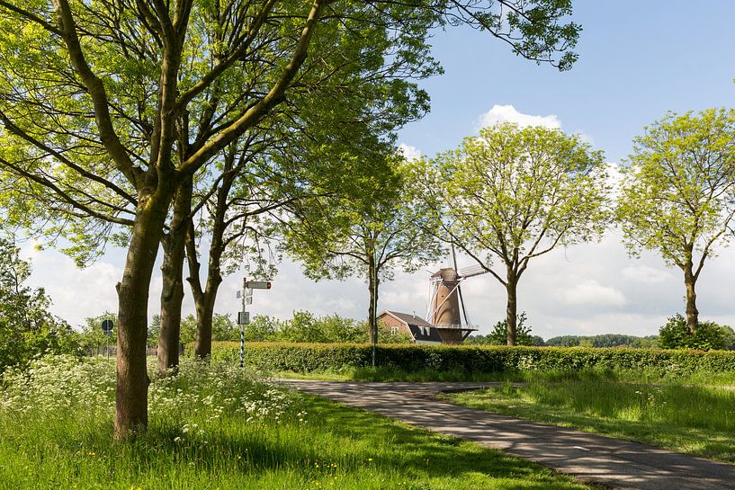 Le moulin du Rhin et Weert à Werkhoven par Marijke van Eijkeren