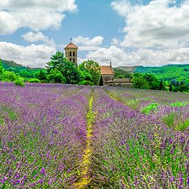 The church of Saint Lambert with Lavender by Cliff d'Hamecourt