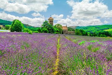 The church of Saint Lambert with Lavender by Cliff d'Hamecourt