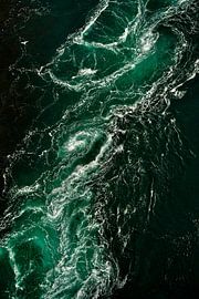 Mouette solitaire au-dessus du maelström