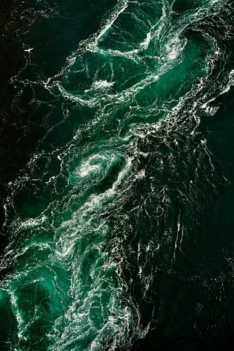 Einsame Möwe über dem Strudel